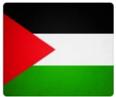Palestine Support